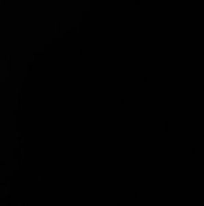 Meet your Posher, Amilcar